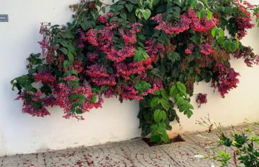 Maison Alriad - Alojamiento familiar tranquilo cerca del mar con jardín, porche y parking privado en el interior de la finca no apto para fiestas - Foto 67