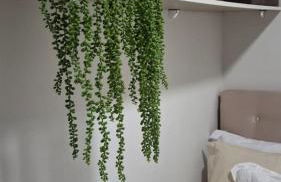 Apartamento no Centro de Gaspar - Foto 77