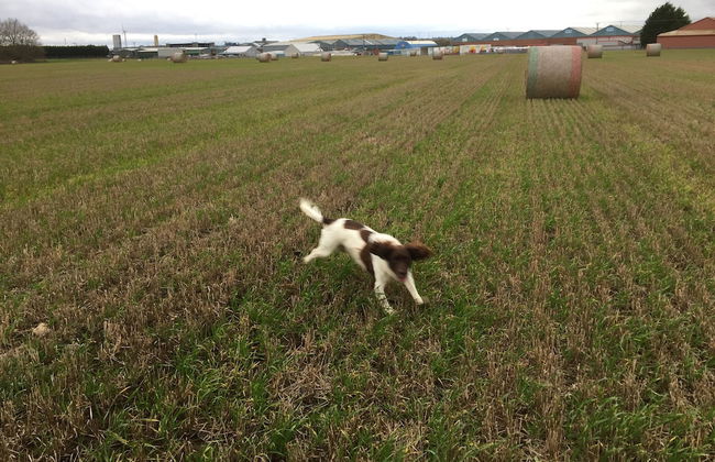 Seaside Bliss Cottage in Bridlington - Foto 9