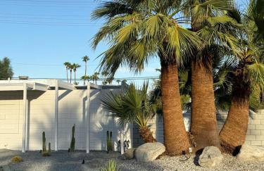 Aerhaus - Mid-Century Oasis - Foto 33