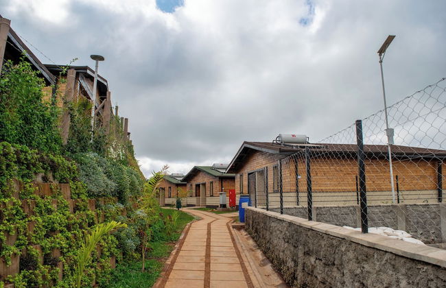 Ridge Cabin Resort - Foto 21