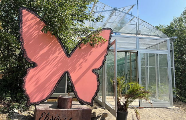 tenuta castel dell'aquila - Photo 52