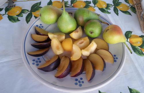 Masseria Marico - Foto 49