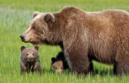 Villa sul mare - Foto 66