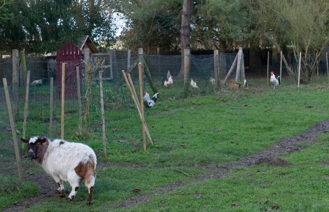 Le Moulin de Dannemarie - Foto 45
