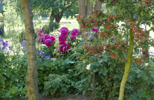 Róże i Jabłonie Agroturystyka - Foto 11