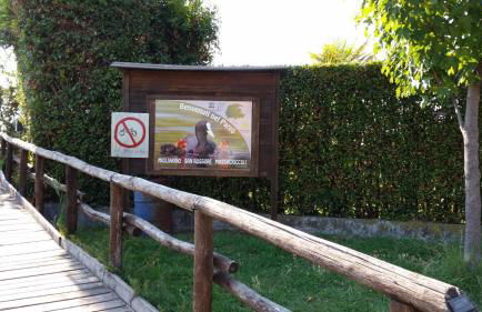 Villa Twetty - Foto 37