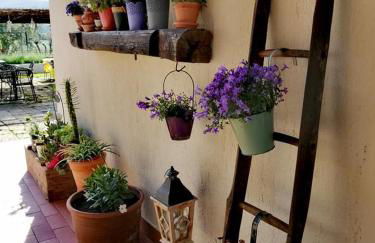 Podere Montecorno - Foto 27