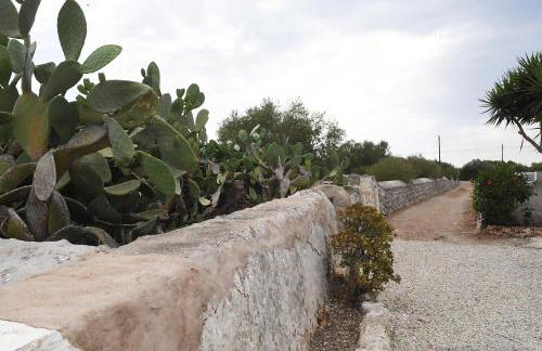 SON MARTORELL by BookMenorcaVillas Unique country house - Foto 6