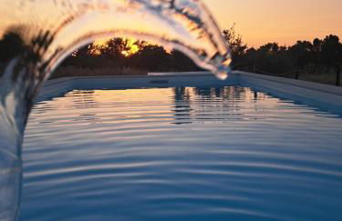 Monte do Rochinha - Foto 7