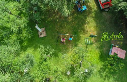 Fili d'Erba Cilento - Foto 57