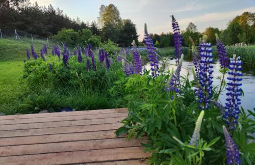 Przystań Szwecja - Foto 21