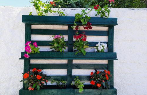 QM - Quinta da Morgadinha - Casa em Quinta Rural - Foto 55