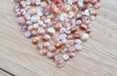 Villa Acqua Doria - Photo 53