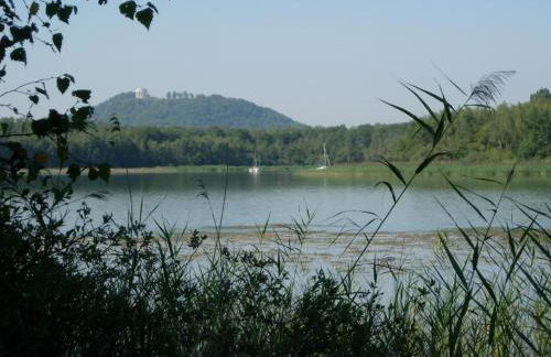 Dans un jardin - Foto 13