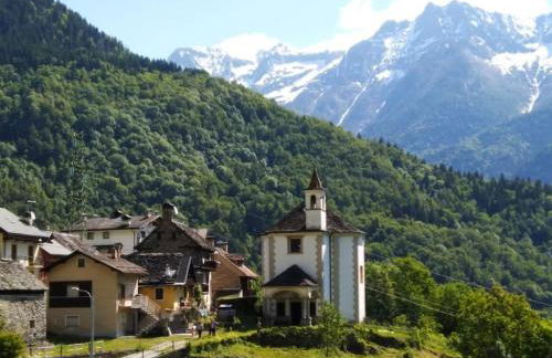 Verde Bosco - Photo 19