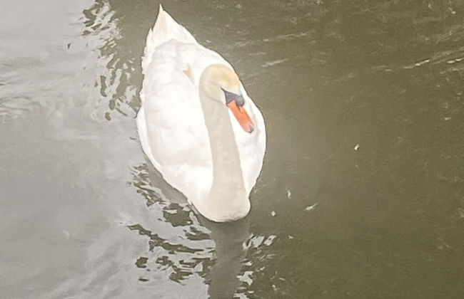 Riverbank Cottage Lake District, Double Balcony - Foto 32