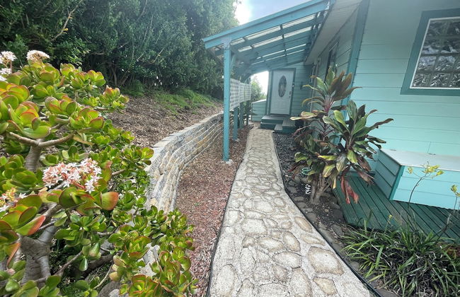 Hale Kiana - Foto 34