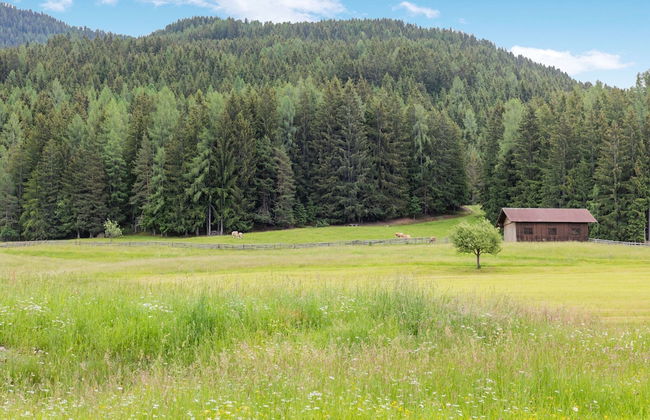 Apartment in Mooswald in Carinthia With Pool - Foto 28