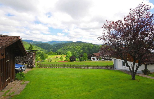 Apartment in Sallneck Near Nonnenmattweiher Lake - Foto 18