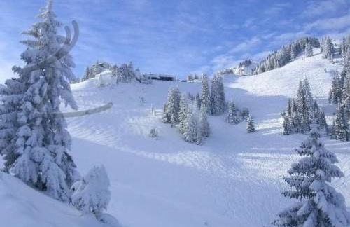 Apartment Apartment mit Königscard für 4 Personen by Interhome - Foto 14