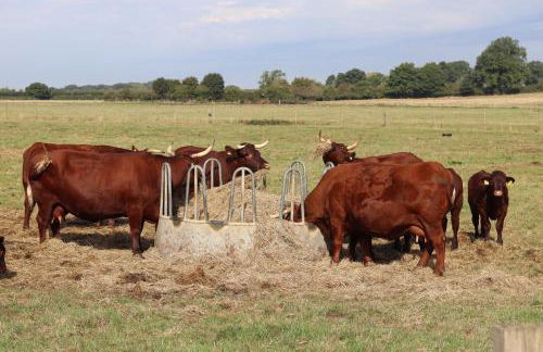 The Anchorage Nables Farm - Foto 39