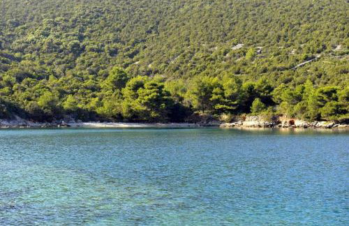 Captain Ante's House - Foto 25