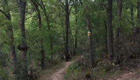 Casa Rural Baobab - Foto 2