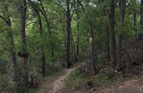 Casa Rural Baobab - Foto 2