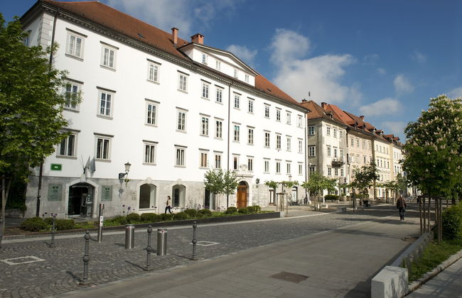 Zois Apartments - Foto 29