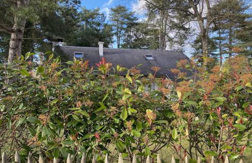 Le Rosa: Villa de charme entre mer et pinède - Foto 50