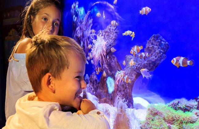 Palma Aquarium - Ticket - Foto 11