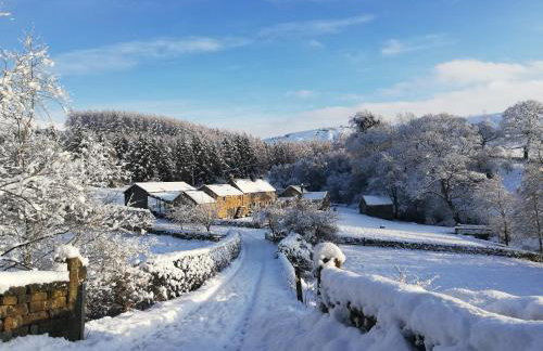 Bluebells Cottage - Photo 32