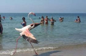 Agriturismo Le Mimose - Foto 6