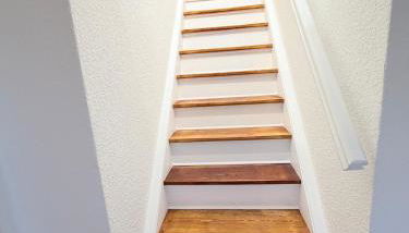 Schäferkoppel - Foto 3