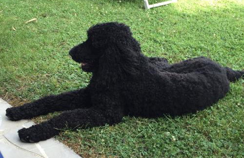 Apartment Magalita - Foto 17