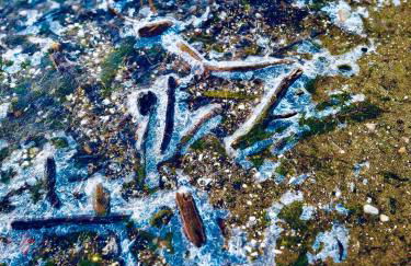 Ferienhaus am Strand - Foto 37