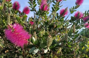 Maison tout confort au calme à 300m de la mer et du GR34 avec jardin - Foto 10