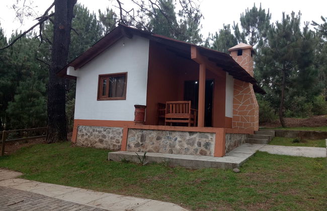 Cabañas del Bosque - Foto 22