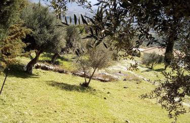 Old Olive house - Foto 16