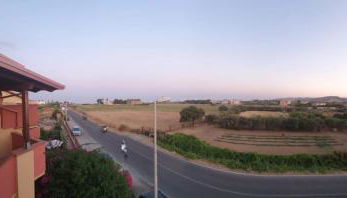 Gabbiano Jonathan - Foto 3