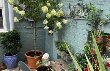 No 28 cosy cottage in the heart of Cowes - Foto 27