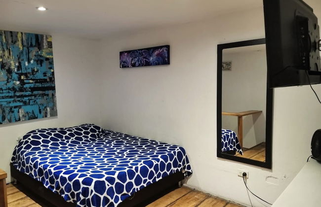 parrot house san antonio - Photo 7