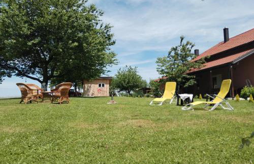 Yellow Rose - Foto 17