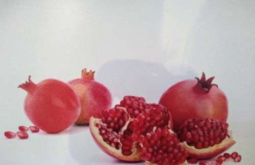 Oase der Geborgenheit - Foto 14