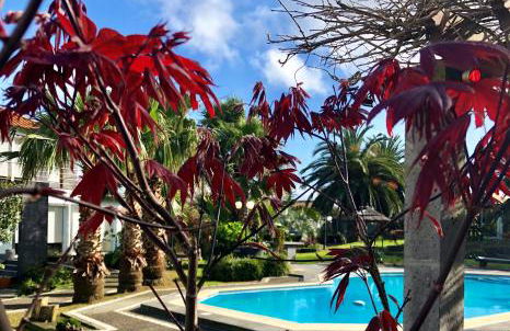 Quinta Da Bela Vista - Photo 47