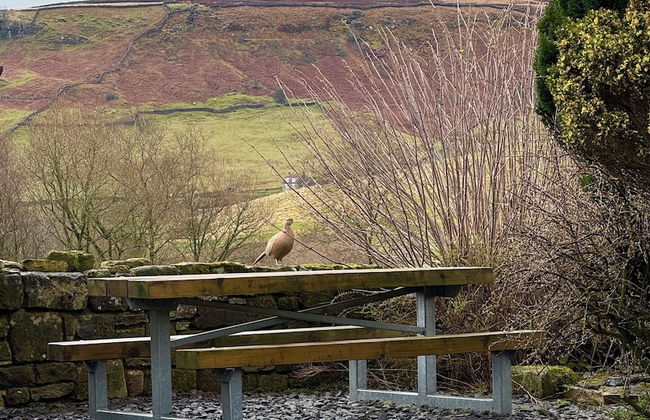 Craven Garth Cottages - Foto 11