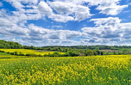 Flock Cottage - Foto 17