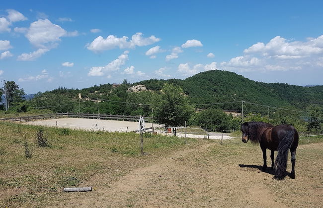 Agriturismo Piccola Raieda - Photo 38