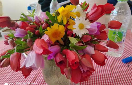 G. Kiapekou - Photo 24